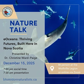 Poster for Nature Talk