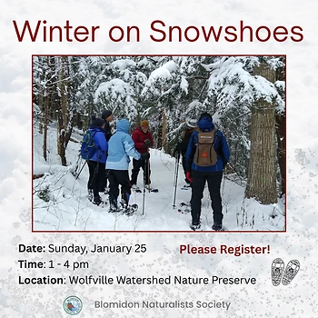 Poster for Winter on Snowshoes Field Trip