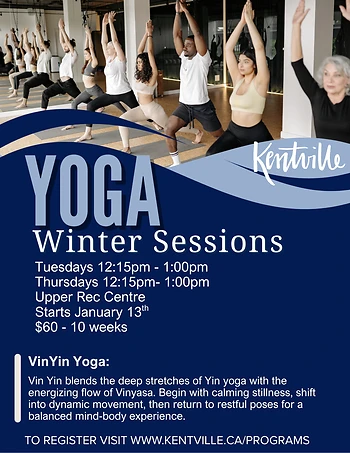 Poster for Vin Yin Yoga