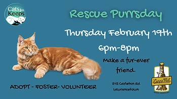 Poster for Rescue Purrsday