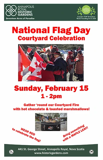 Poster for National Flag Day Courtyard Bonfire