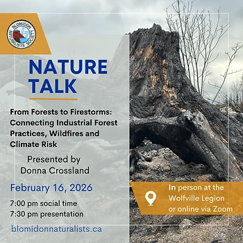Poster for Nature Talk