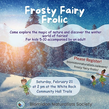 Poster for Frosty Fairy Frolic