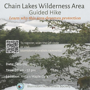 Poster for Chain Lakes Wilderness Hike
