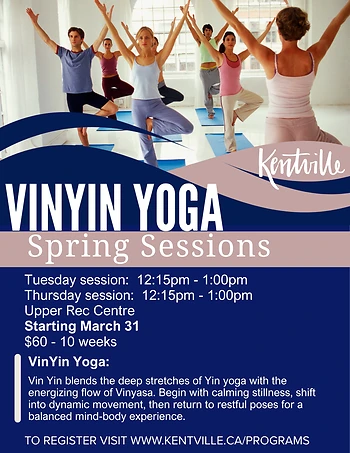 Poster for Vin Yin Yoga