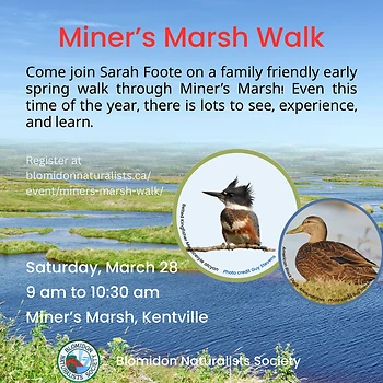Poster for Miner's Marsh Walk