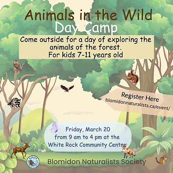 Poster for Nature based Day Camp