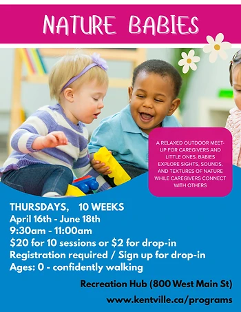 Poster for Nature Babies