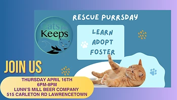 Poster for Rescue Purrsday