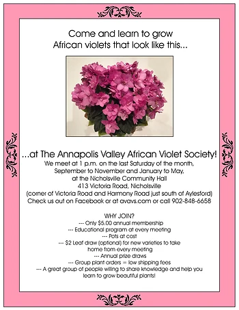 Poster for African Violet Society Meeting