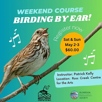 Poster for Birding by Ear Weekend Course