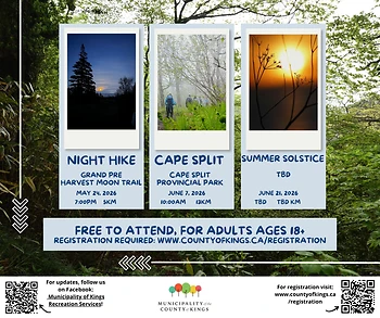 Poster for Night Hike