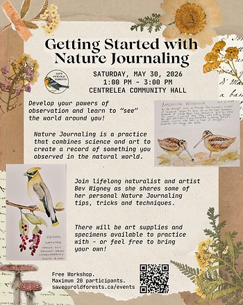 Poster for Getting Started with Nature Journaling