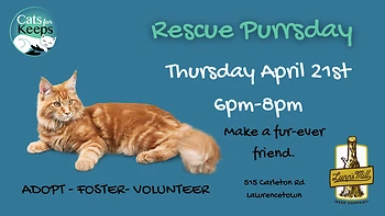 Poster for Rescue Purrsday