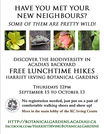 Poster for Autumn Hike