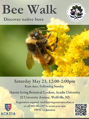 Poster for May Bee Walk