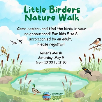 Poster for Little Birders Nature Walk
