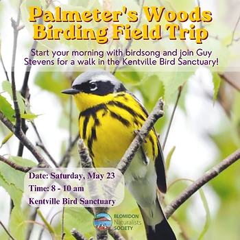 Poster for Palmeter's Woods Bird Walk