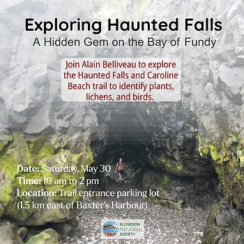 Poster for Haunted Falls BNS Hike