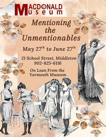 Poster for Mentioning the Unmentionables