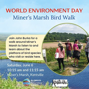 Poster for Miner's Marsh Bird Walk