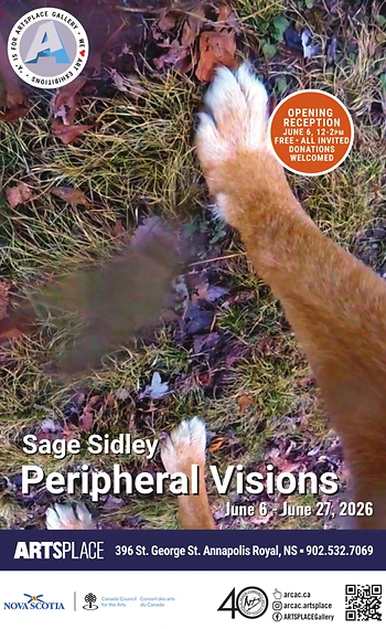 Poster for Opening | Sage Sidley, Peripheral Visions
