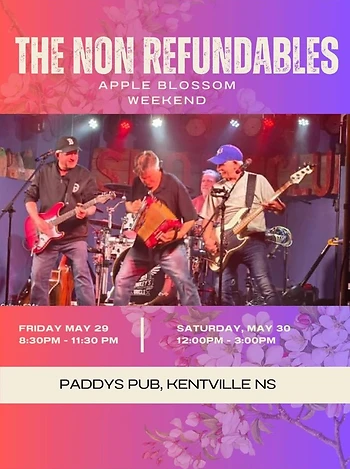 Poster for The Non Refundables