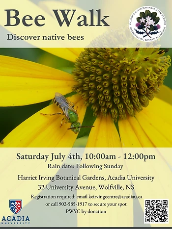Poster for July Bee Walk