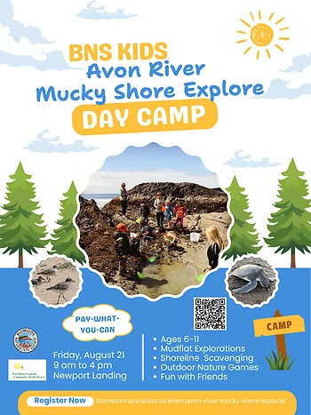Poster for Avon River Mucky Shore Explore