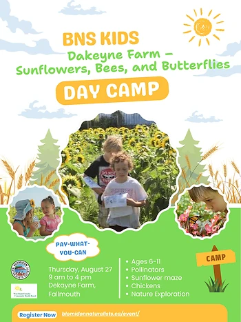 Poster for Dakeyne Farm day camp