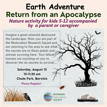 Poster for Earth Adventure in Chute Park, Berwick