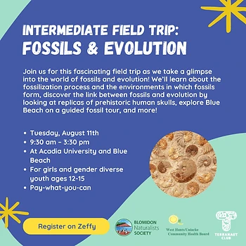 Poster for Fossils & Evolution day camp
