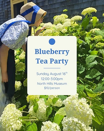Poster for Blueberry Tea Party