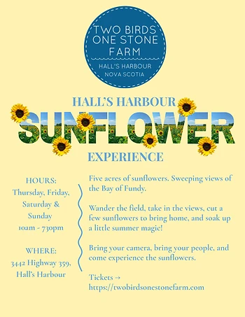 Poster for The Halls Harbour Sunflower Experience