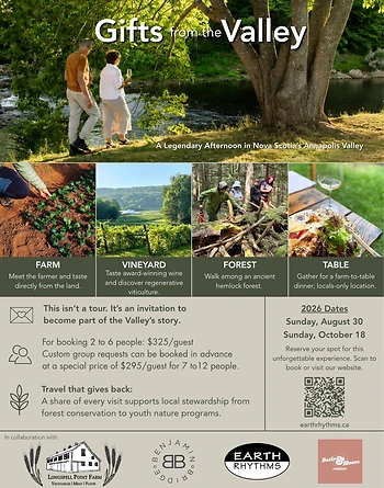 Poster for Gifts from the Valley