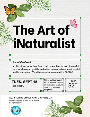 Poster for The Art of iNaturalist
