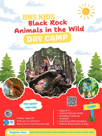 Poster for Black Rock Animals in the Wild day camp