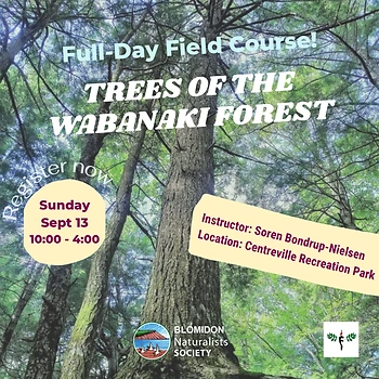Poster for Trees of the Wabanaki Forest Course