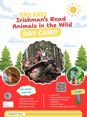 Poster for Irishman's Rd Animals in the Wild
