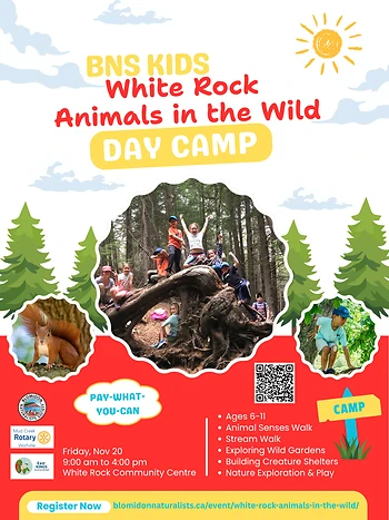 Poster for White Rock Animals in the Wild