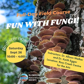 Poster for Fun with Fungi Full Day Course