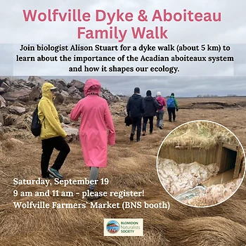 Poster for Wolfville Aboiteau Walk