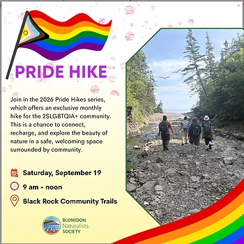 Poster for Pride Hike at Black Rock