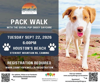 Poster for Dog Pack Walk