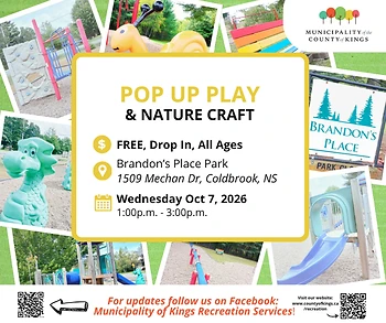 Poster for Pop Up Park Play & Nature Craft