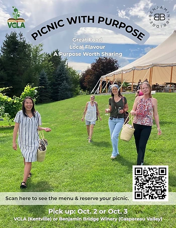 Poster for VCLA's Picnic with Purpose