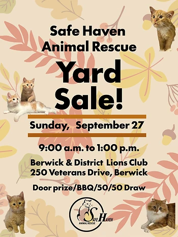 Poster for Safe Haven Yard Sale