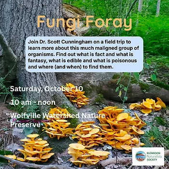Poster for Fungi Foray