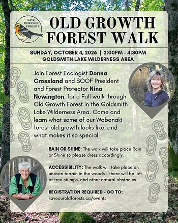 Poster for Old Growth Forest Walk