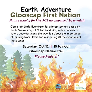 Poster for Earth Adventure